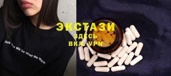 ECSTASY Богородск